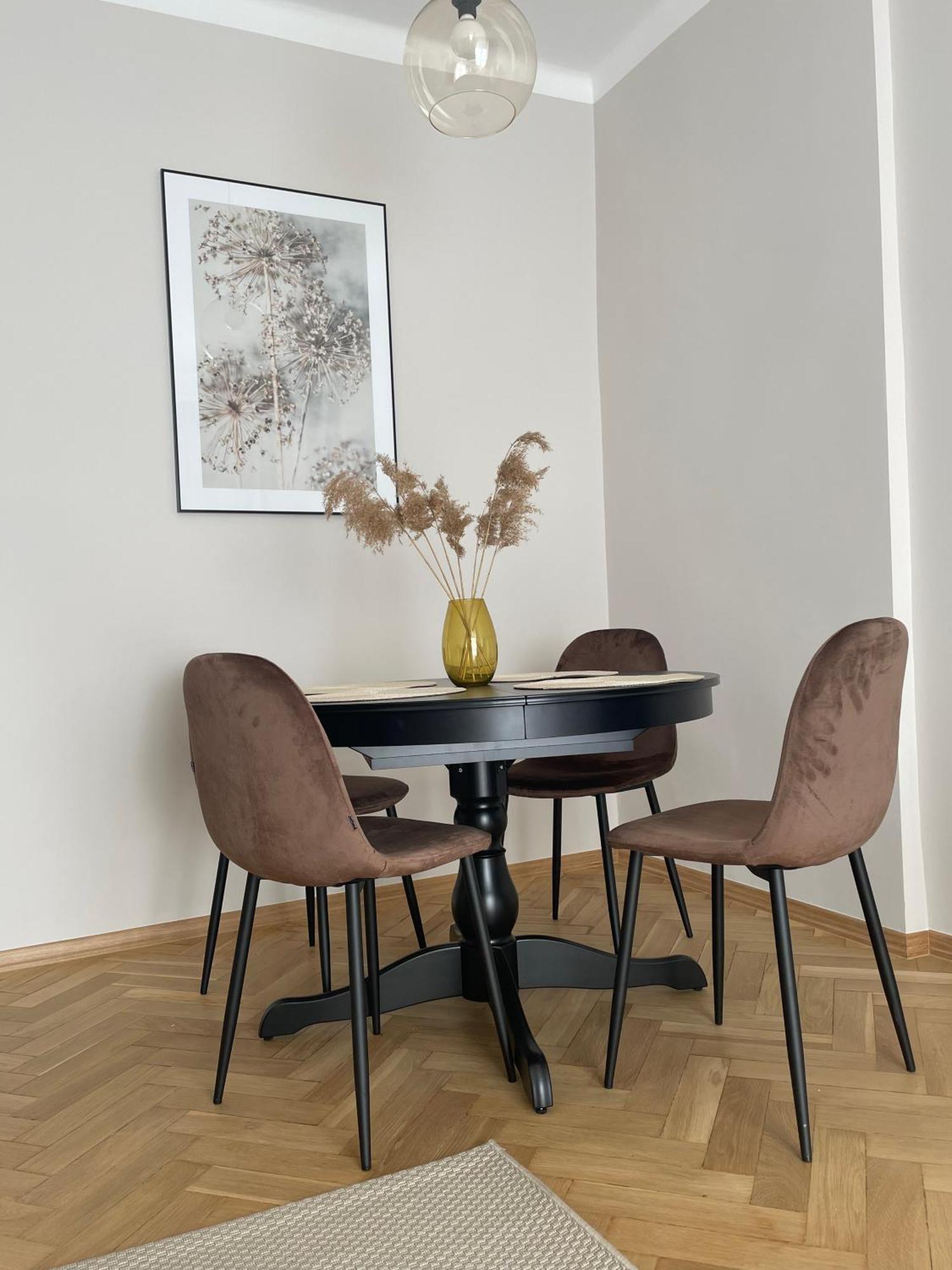 Kopernika Apartment Allenstein